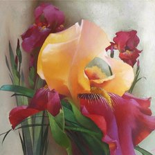 Схема вышивки «ирис»