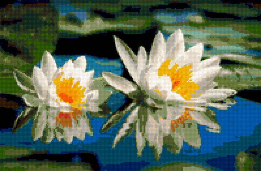 водная лилия - картина природа цветы лилия - предпросмотр