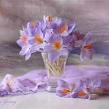 Схема вышивки «крокусы»