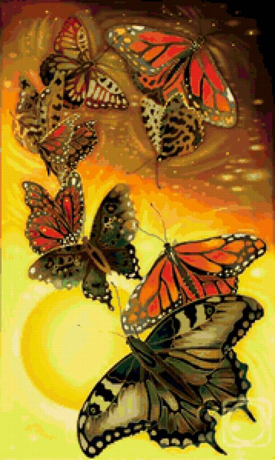 бабочки - бабочки, насекомые - предпросмотр