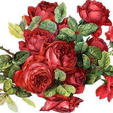 Схема вышивки «№264322»