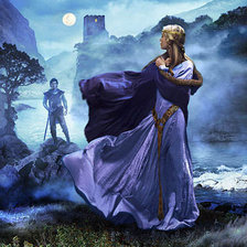 Схема вышивки «ночное свидание»