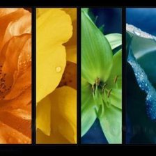 Схема вышивки «Цветы»