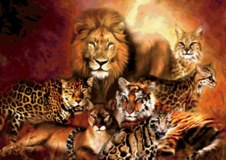 кошки - пума, тигр, животные, кошки, лев - предпросмотр