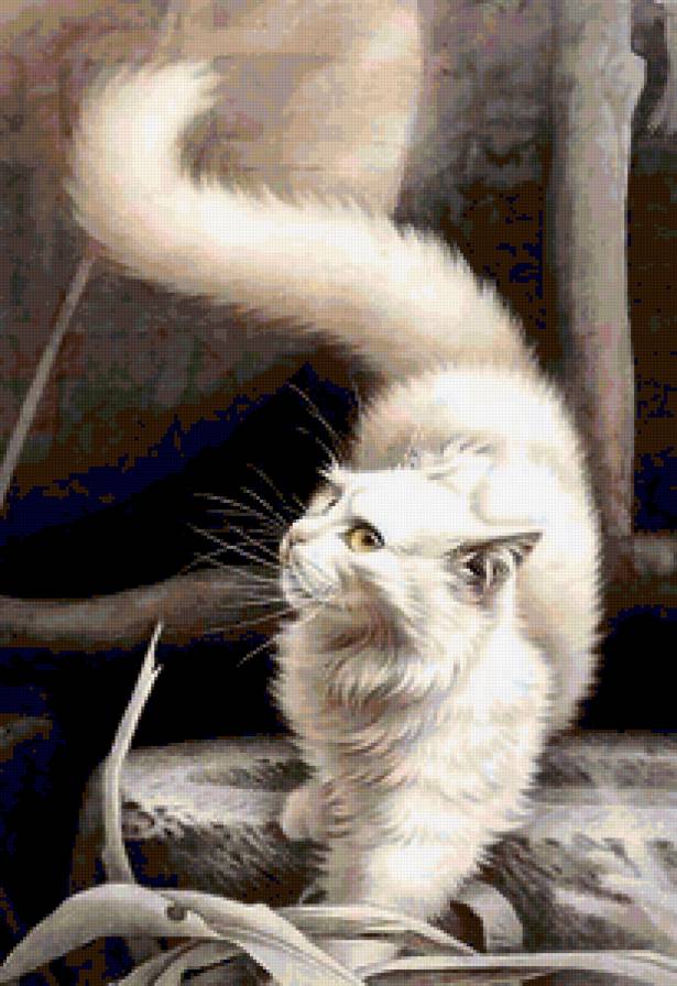 Котёнок смотрящий в даль - котенок, белые, кошка, красивый, картина - предпросмотр