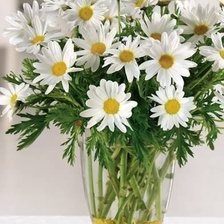 Схема вышивки «ромашки»