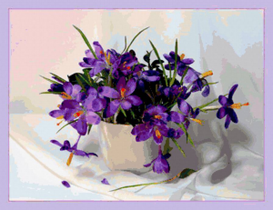 фиалки - предпросмотр