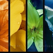 Схема вышивки «триптих»