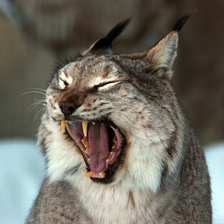 Схема вышивки «№264715»