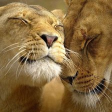 Схема вышивки «love»