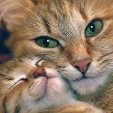 радость материнства