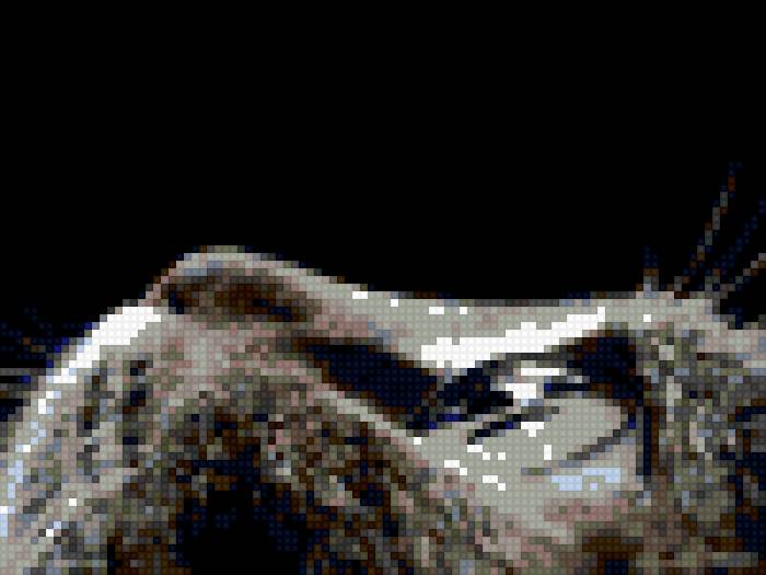 я - предпросмотр