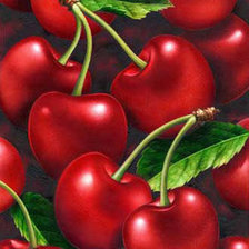 Схема вышивки «вишинки»