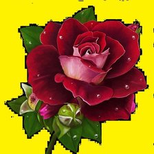 Схема вышивки «Подушка "РОЗА"»