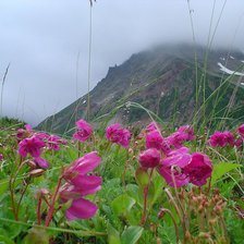 Схема вышивки «горы»