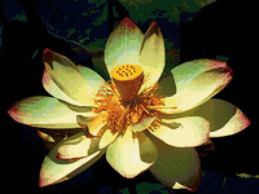 №265334 - предпросмотр