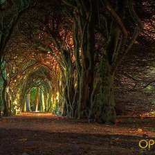 Схема вышивки «дорога сквозь»