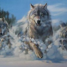 Схема вышивки «волки»