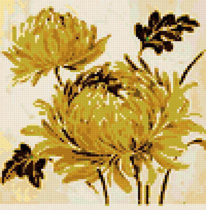 Хризантемы - хризантема шар желтая - предпросмотр