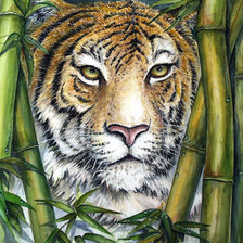 Схема вышивки «тигр»