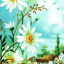 летний пейзаж