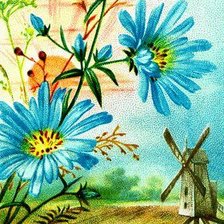 летний пейзаж