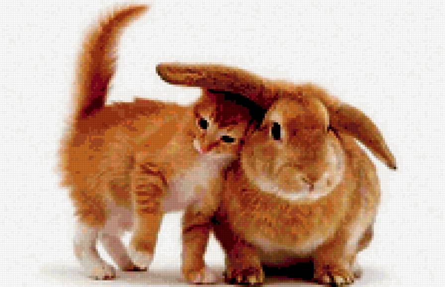 Верные друзья. - кот - предпросмотр