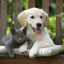 Схема вышивки «Верные друзья.»