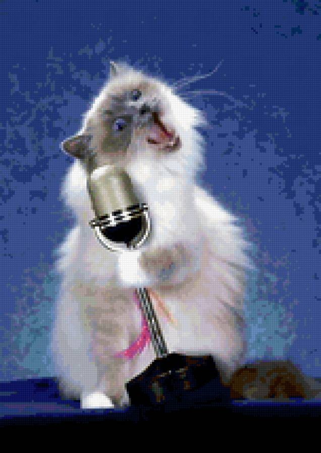 Звезда. - кот - предпросмотр