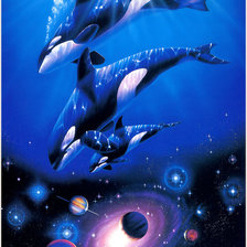 Children of the Stars