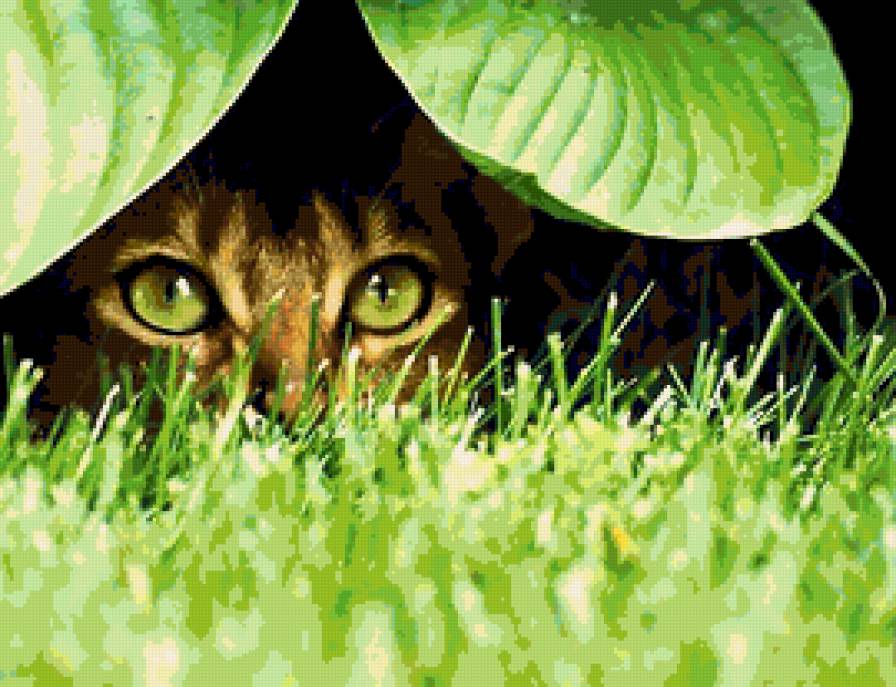 Спрятался:-) - кот - предпросмотр