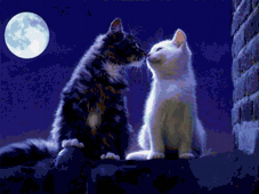 Свидание. - кот - предпросмотр