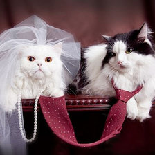 Схема вышивки «Свадьба.»