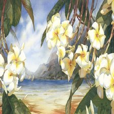 Цветы Даррила Тротта