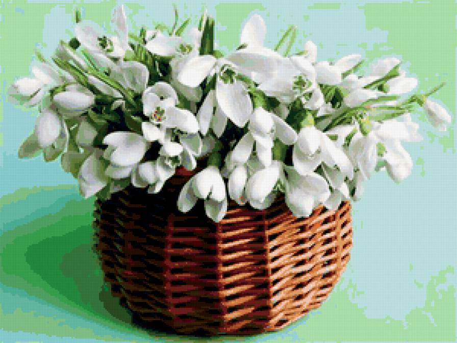 подснежники - предпросмотр