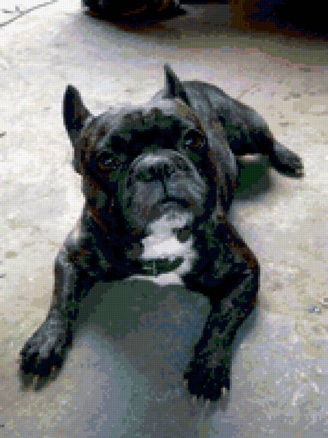 сема - предпросмотр