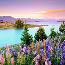 Схема вышивки «природа»