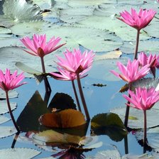 Схема вышивки «mine»