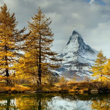 Схема вышивки «№266216»