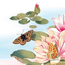 Схема вышивки «644»