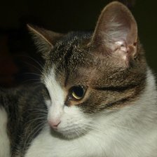 Схема вышивки «коша»