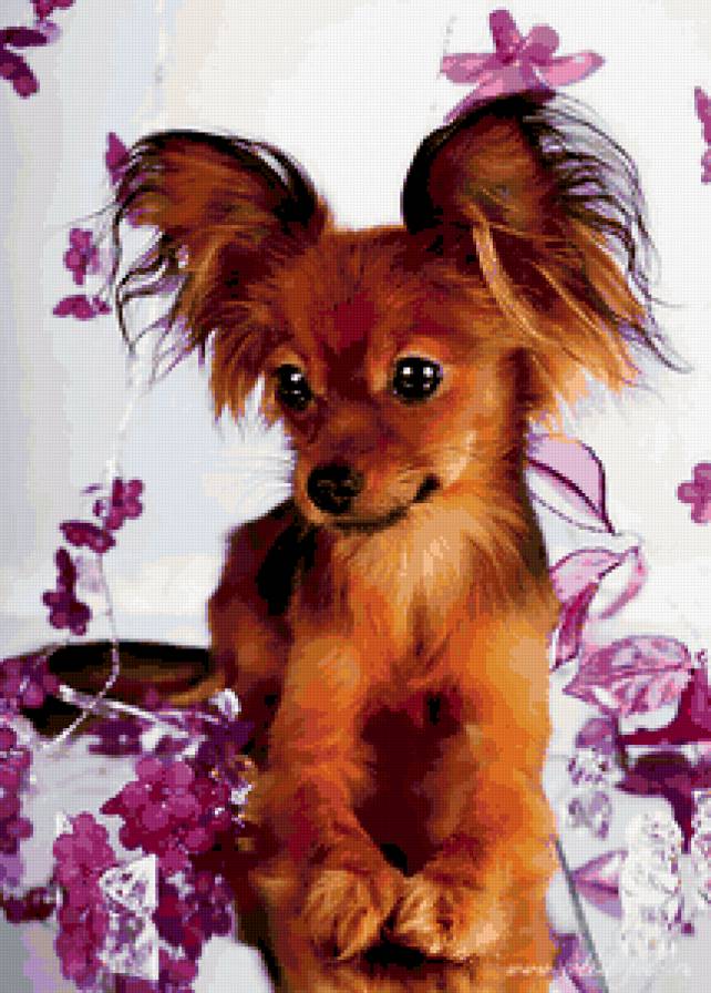 Милашка - домашные животные, щенки, собака - предпросмотр