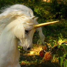 Схема вышивки «Белый единорог»