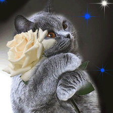 Схема вышивки «Британец загадает желание»