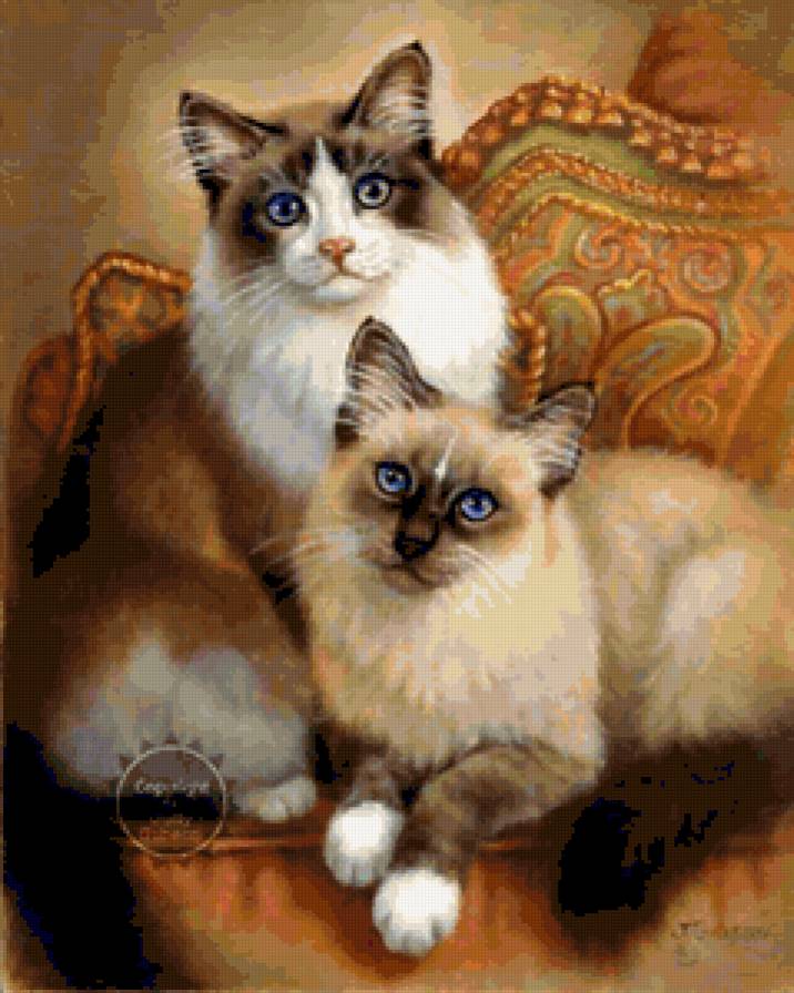 Коты - коты, животные, кошки - предпросмотр