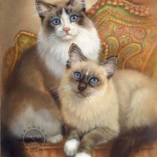 Схема вышивки «Коты»