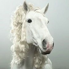 Схема вышивки «ангел»