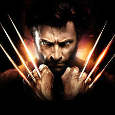 Схема вышивки «росомаха»