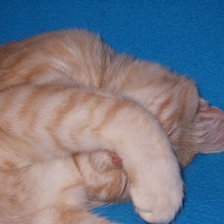 Схема вышивки «Мой малыш»