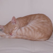 Схема вышивки «Спящий котейка»